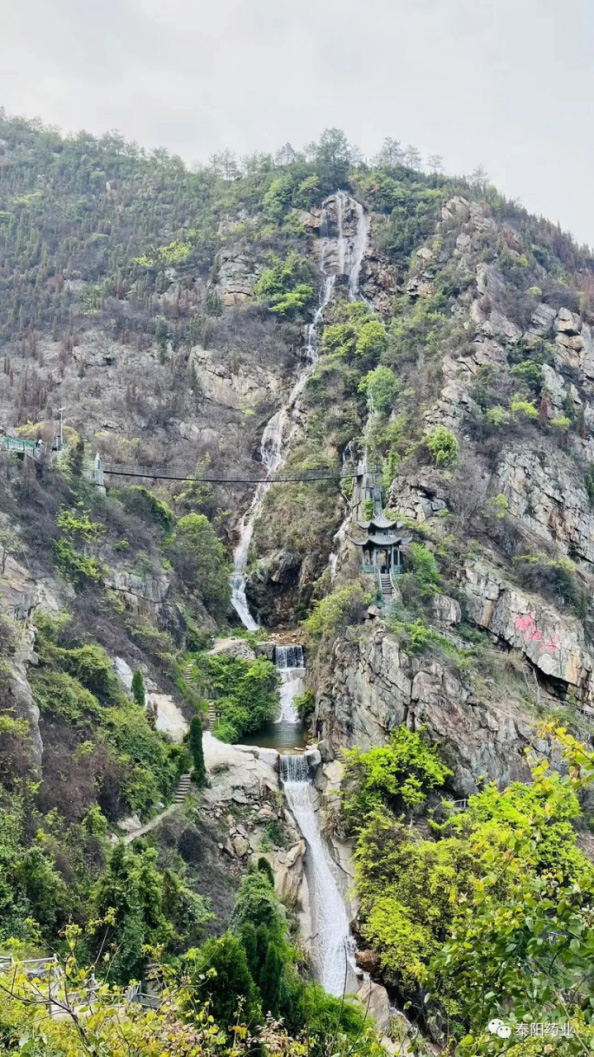 泰陽醫藥春游踏青