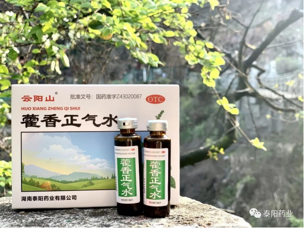 泰陽醫藥春游踏青
