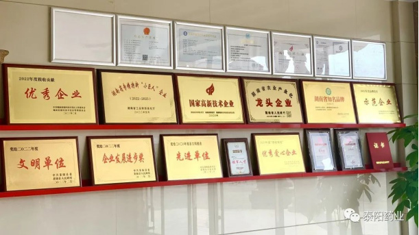 泰陽醫藥春游踏青