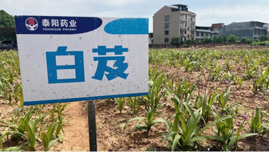 泰陽藥業